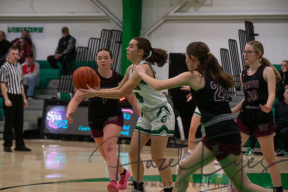 2024-2025 BB JV Girls vs Wellington 01182025- (69)