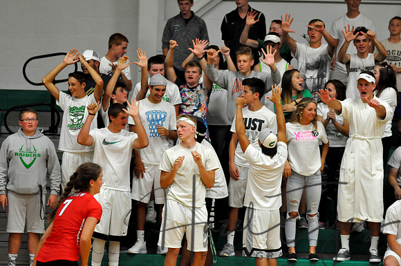 2016 Varsity Volleyball vs Fairview Student Section3