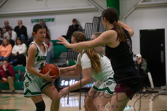 2024-2025 BB JV Girls vs Wellington 01182025- (38)