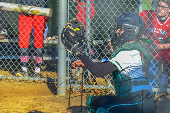 2022 Softball Varsity vs Firelands 04302022-104