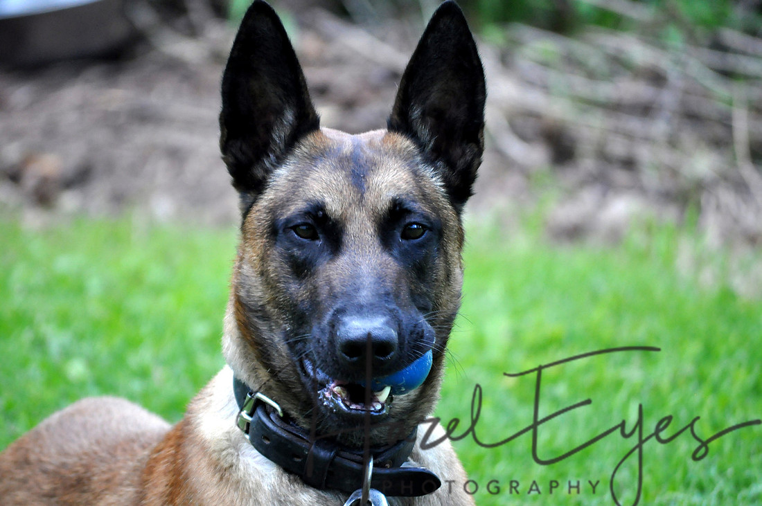 Kilo_2014