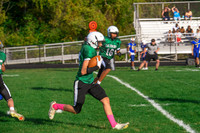 2025 CMS vs Clearview 09302025