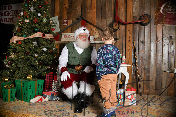 Day2Santa (19)