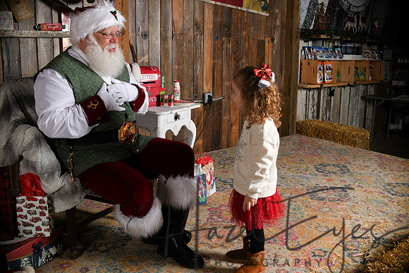 Day2Santa (32)