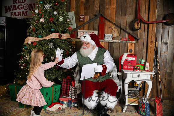 Day2Santa (48)