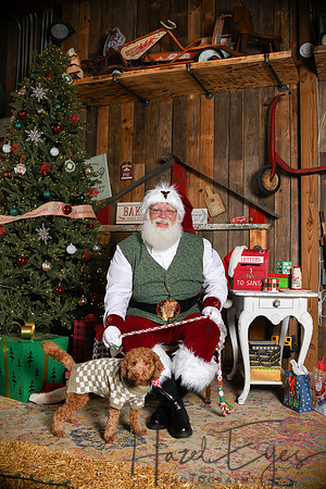 Day2Santa (57)