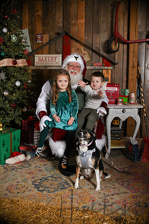 Day2Santa (82)