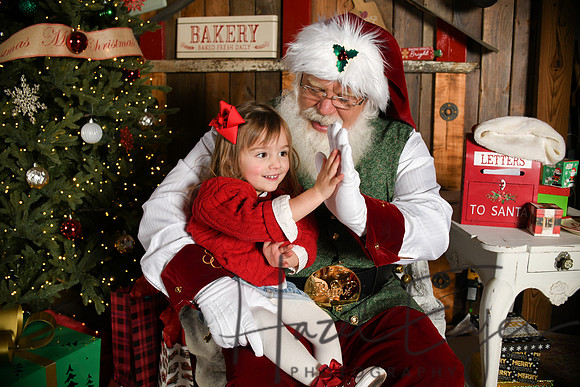 Day2Santa (116)