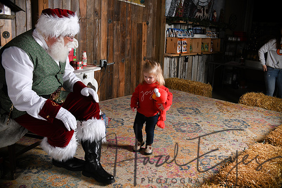 Day2Santa (131)