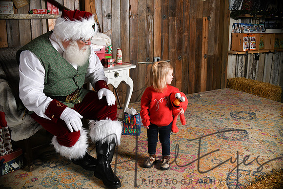 Day2Santa (132)