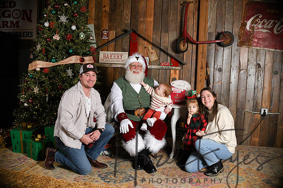 Day2Santa (159)