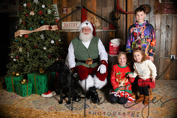 Day2Santa (176)