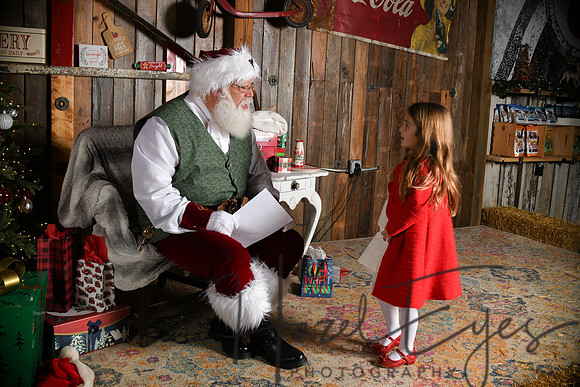 Day2Santa (182)