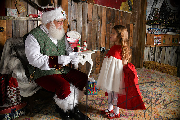 Day2Santa (184)