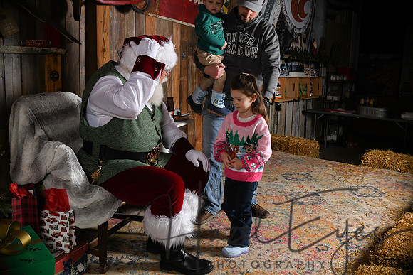 Day2Santa (196)