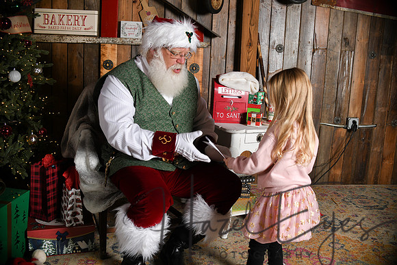 Day2Santa (209)