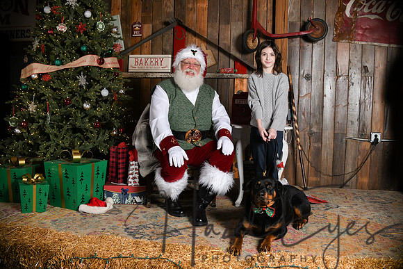 Day2Santa (216)