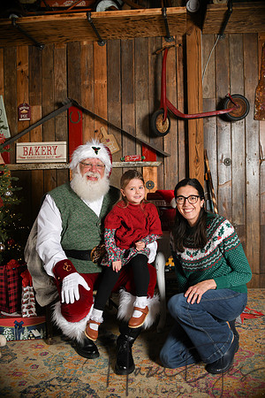 Day2Santa (223)