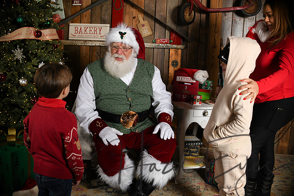 Day2Santa (234)