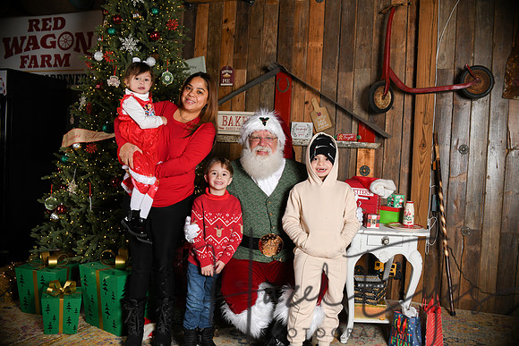 Day2Santa (235)