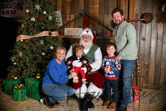 Day2Santa (241)