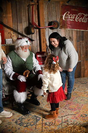 Day2Santa (247)