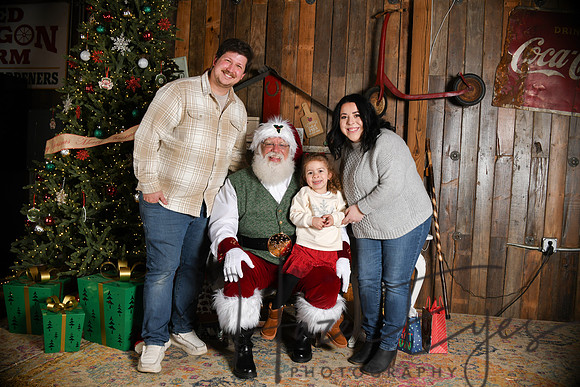 Day2Santa (249)