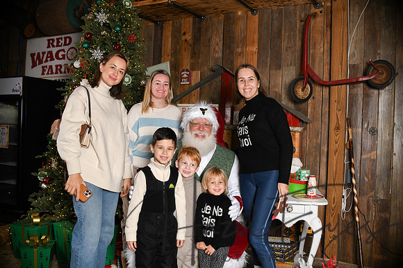 Day2Santa (257)