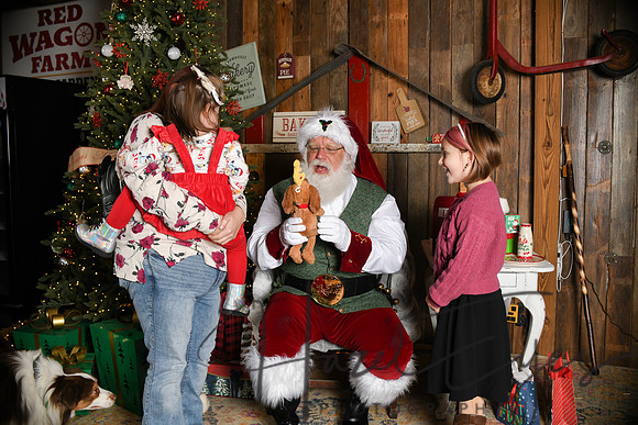 Day2Santa (276)