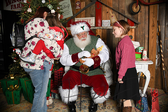 Day2Santa (277)