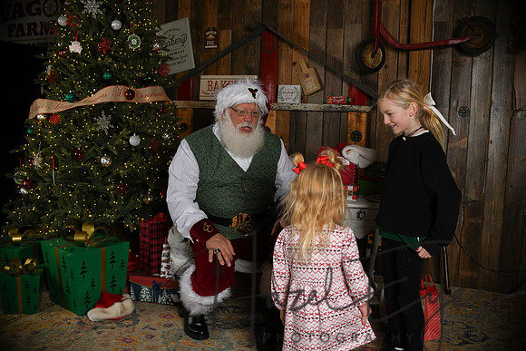 Day2Santa (290)