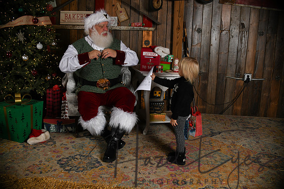 Day2Santa (297)