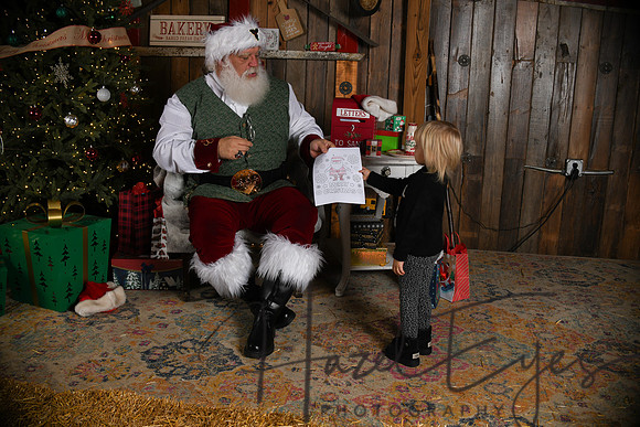 Day2Santa (298)