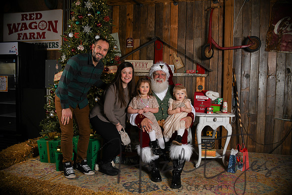 Day2Santa (307)