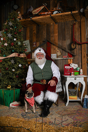 Day2Santa (308)