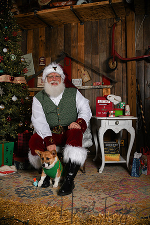 Day2Santa (310)