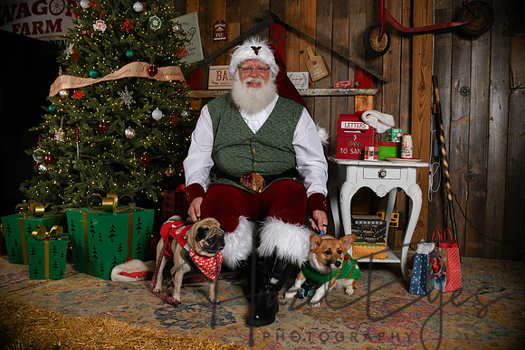 Day2Santa (309)