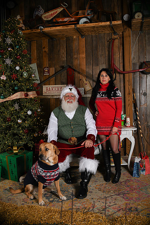 Day2Santa (313)