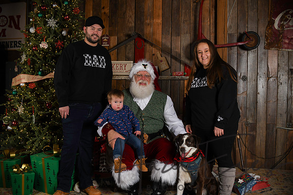 Day2Santa (318)