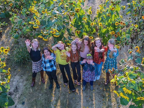 2022 TWEEN Sunflower Sesion Drone 09122022-7