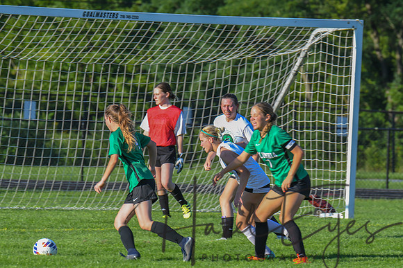 2022 Soccer Girls Alumni Game 08102022 (10 of 137)