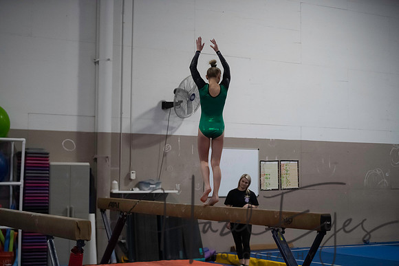 2025-2026 Gym Senior Night 02012026-121