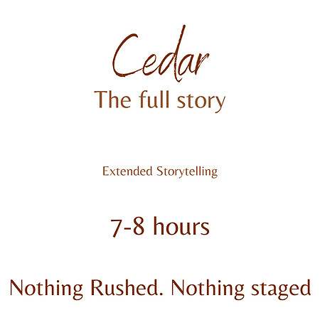 12 Collections Cedar