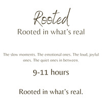 13 Collections Rooted