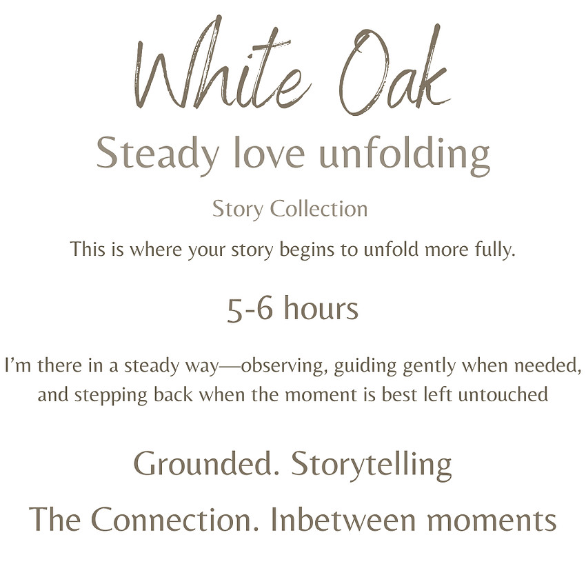 16 Collections Detail-White Oak