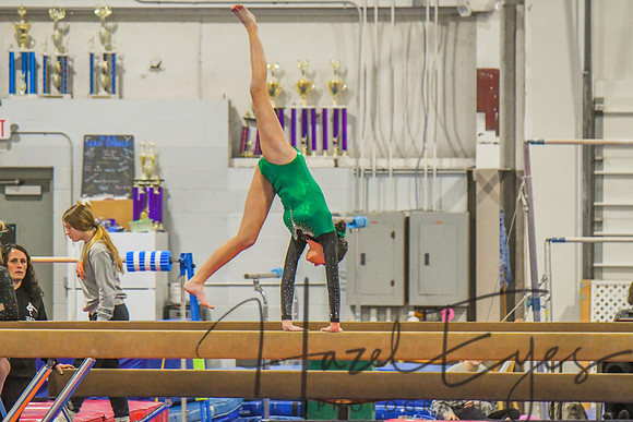 2023 Gymnastics Meet-56