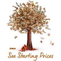 Primary - Investment
