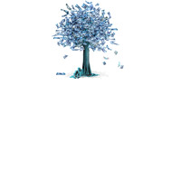 Secondary - Investment 2