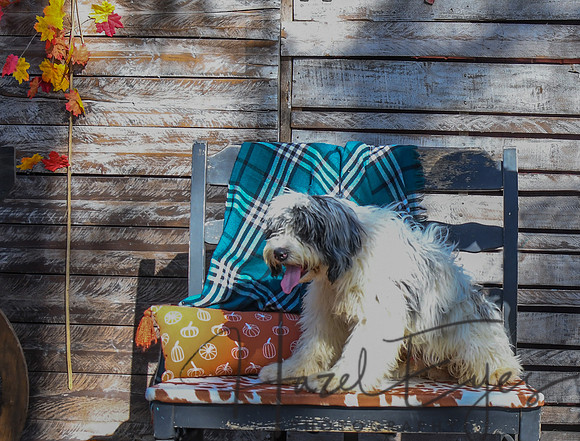 2022 ARF Event 10232022-26