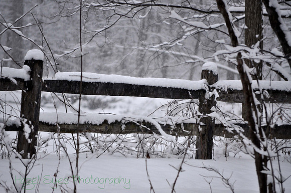 Winter.6